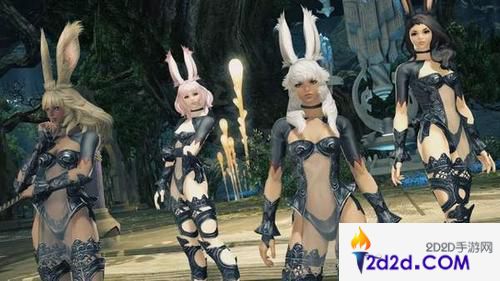 ff14兔娘为什么被排斥